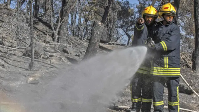 Pemadam kebakaran Palestina membantu memadamkan kebakaran di Haifa, Israel pada 25 November 2016.