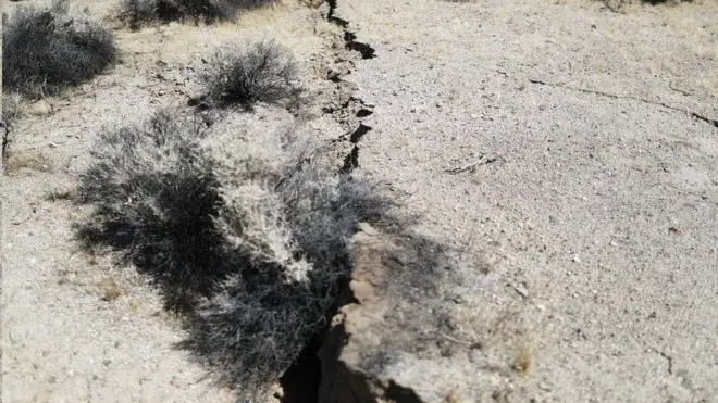 ફાઇલ તસવીર