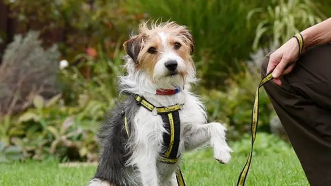 Archie and Marie-Helene Leoni