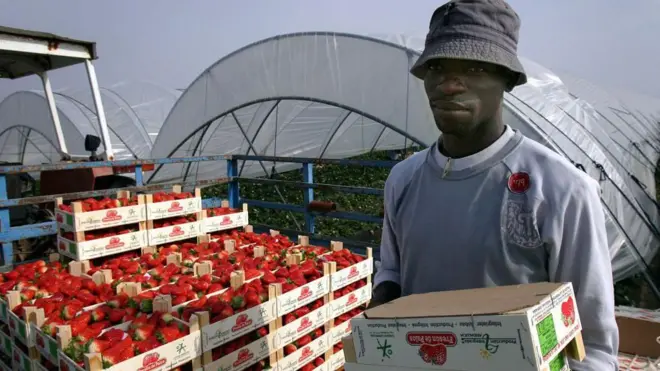 Migrant africain travaillant en Espagne.