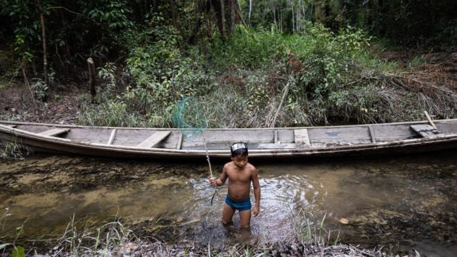 A child looks for shrimp on the banks of a tributary to the Amazon.