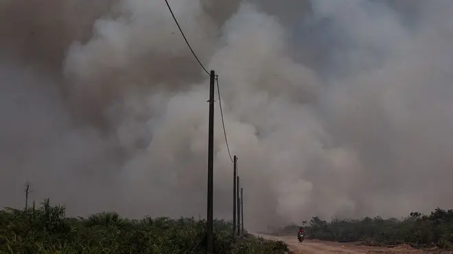 Kabut asap seperti yang terjadi di perkebunan sawit, Aceh Jaya, tahun 2014, kembali terulang setiap tahun di berbagai wilayah Aceh.