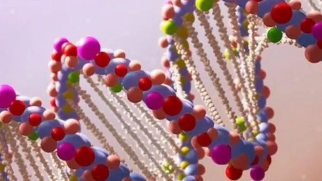 ’جتنا بڑا ڈی این اے سیمپلنگ کا ڈیٹا بیس ہو گا اتنی ہی جلد ملزمان قانون کی گرفت میں آ جائیں گے‘ (فائل فوٹو)