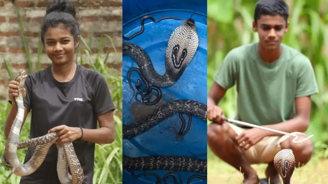 සර්පයින්