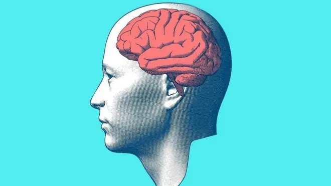 మానవ మెదడు చిత్రం