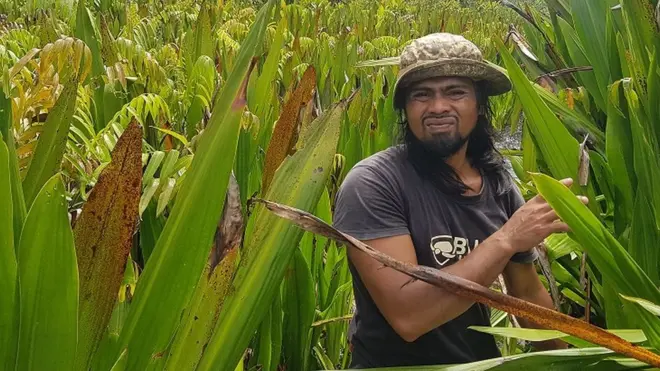 Mustafa, pawang orang utan rawa singkil aceh