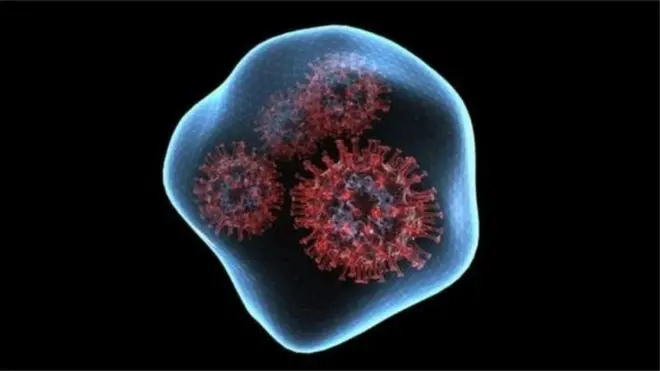 ఒమిక్రాన్