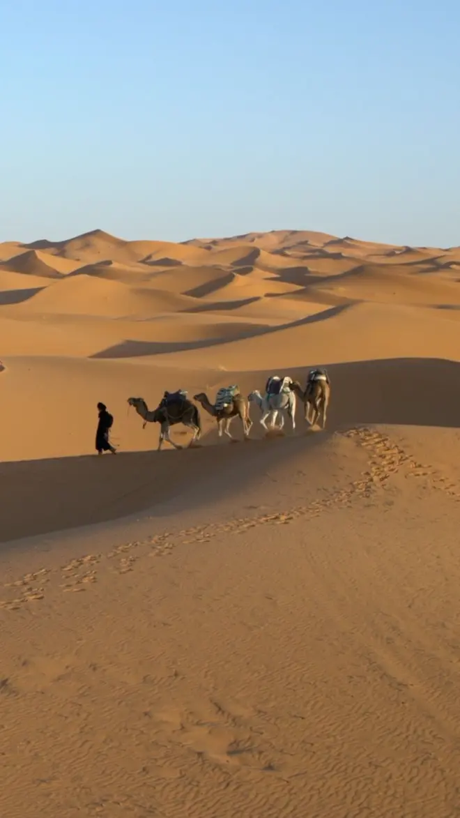 Na fotografiji se vidi pustinja, u kojoj čovek sa četiri kamile hoda.