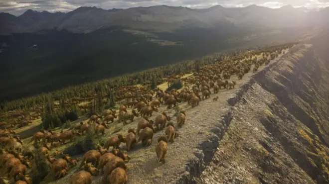 డైనోసార్స్, పరిశోధన, చరిత్ర