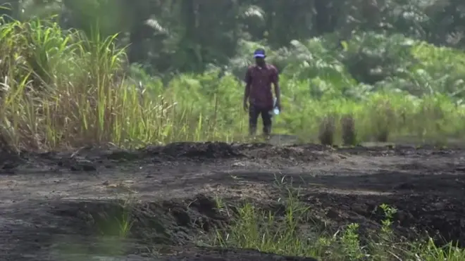 ነዳዲ ኣብ ግራውቲ ሓረስቶት ናይጀርያ