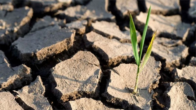 Ces engagements signifient que la hausse des températures mondiales pourrait être limitée à 2,1°C d'ici la fin du siècle