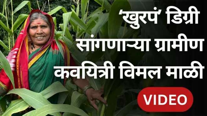 विमल माळी