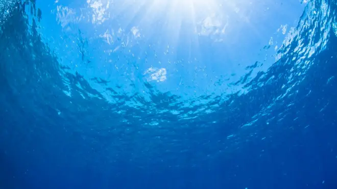 El agua es lo más simple y lo más fundamental de la vida