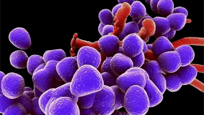 Распространение устойчивых к лекарствам бактерий называют не менее серьезной угрозой, чем терроризм