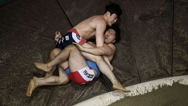 지난 19일 경북 안동에서 열린 '천하장사 씨름대축제'에서 선수들이 대결을 펼치고 있다