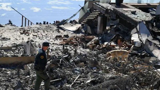 米ロサンゼルス近郊マリブ・ビーチ地区の火災現場を調べる警官と警察犬