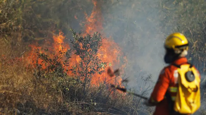 A firefighter attempts to extinguish flames during the dry season in Brasilia, Brazil, on 2 August