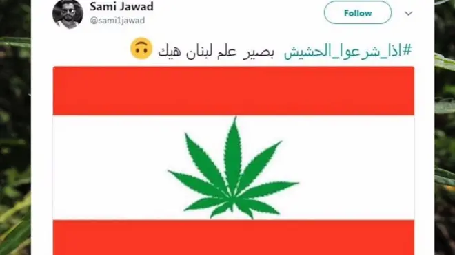 رئيس البرلمان اللبناني نبيه بري قال إن البرلمان يدرس تقنين زراعة القنب لأغراض طبية في محاولة لتعزيز الاقتصاد.