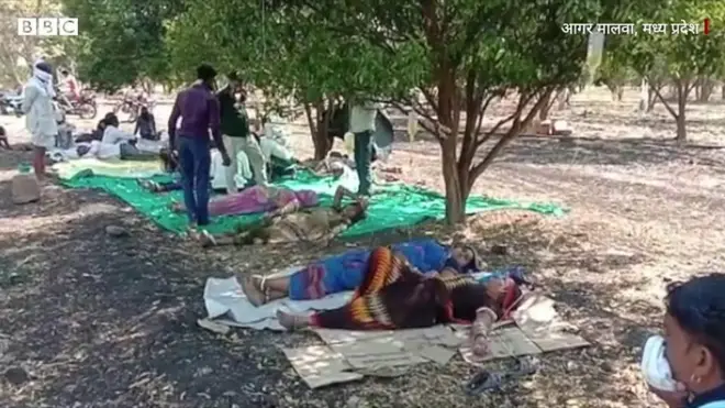 खेत में इलाज