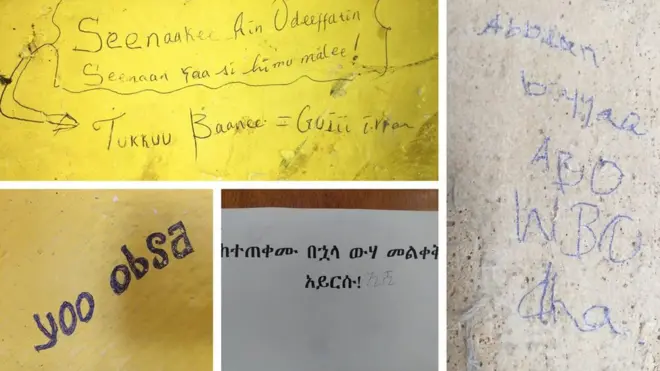 Barreefamoota garagaraa keenyan