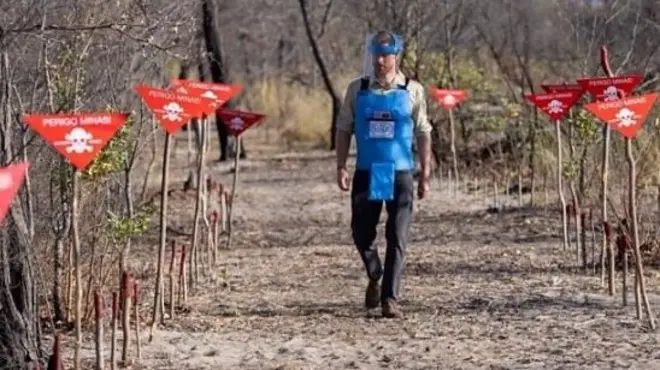 harry, diana, ranjau, angola