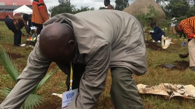 Namoota biqiltuu dhaaban