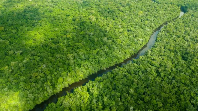 A Noruega é responsável por maisbet7k apostas90% das doações do Fundo Amazônia