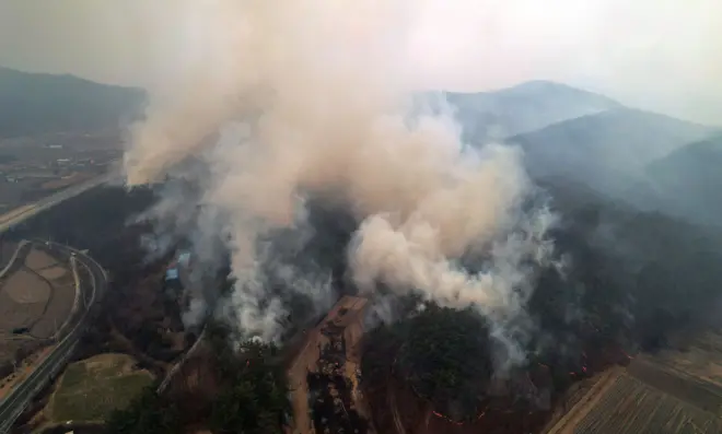 24일 오후 경북 의성군 점곡면 윤암삼거리 인근 한 야산에서 강풍을 타고 산불이 번지고 있다
