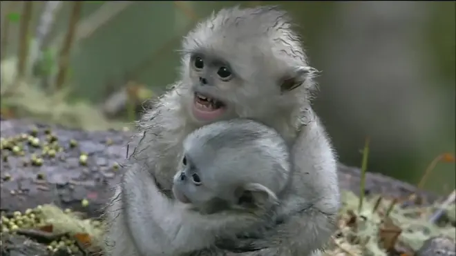 چین کا وہ حصہ جو خود چینیوں کی آنکھوں سے بھی اوجھل تھا