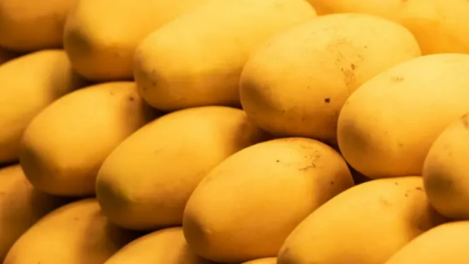 Mangoes