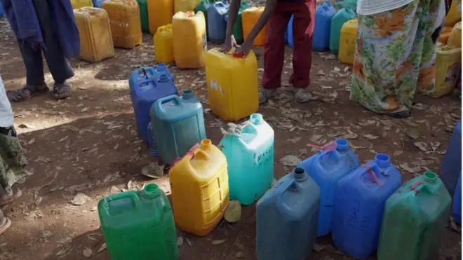 rakkoo bishaanii Harar