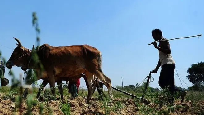 પ્રતીકાત્મક તસવીર
