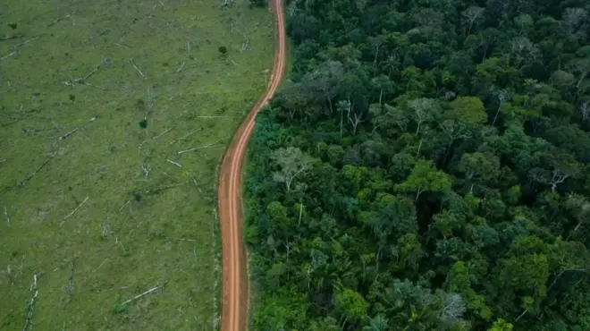 Imagem aérearoletinha ganha dinheirofloresta desmatada com estrada no meio