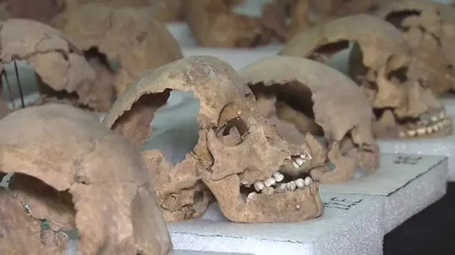 جماجم بشرية