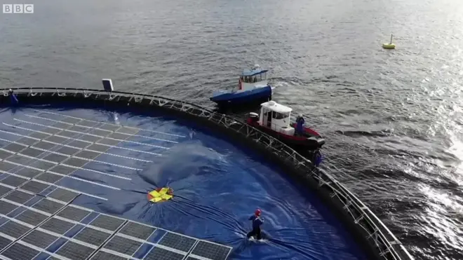 సోలార్ ప్యానళ్లు