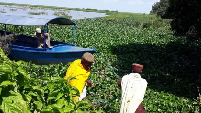 መነኮሳት በእምቦጭ የተያዘች ጀልባን ሲጎትቱ