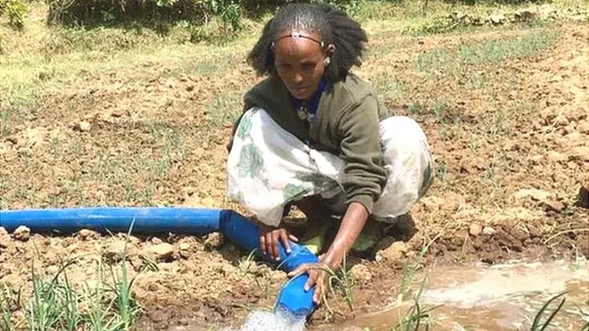 ሕልፊ ዝበሎ ግራታ እናስተየት