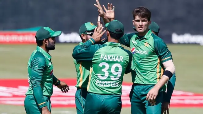 شاہین اور ٹیم