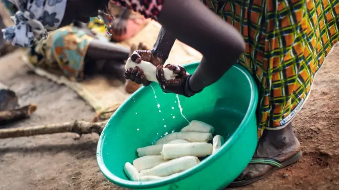 Une femme qui lave du manioc