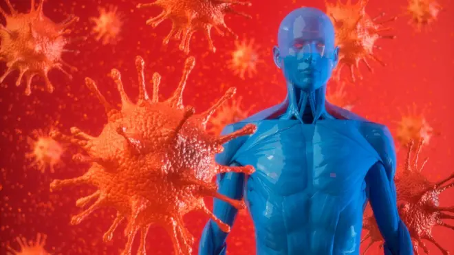 El sistema inmunológico es lo que le permite a nuestro organismo defenderse de los patógenos.