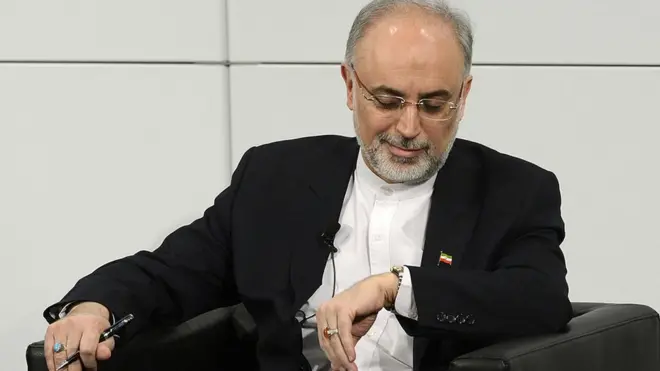 علی اکبر صالحی، رئیس سازمان انرژی اتمی ایران