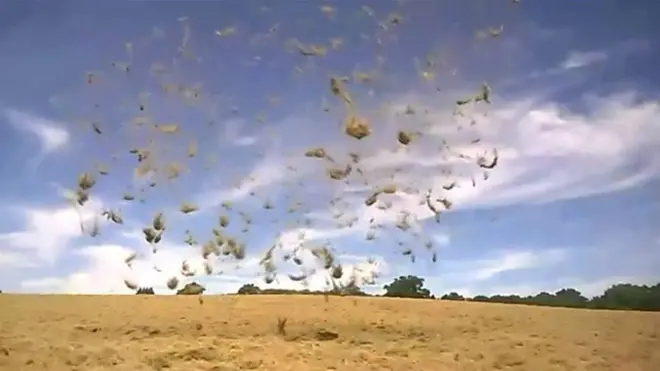 Пыльный вихрь на ферме