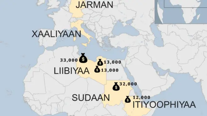 Leencoon hanga bishaan cehutti Birrii 103,000 ol kaffaleera