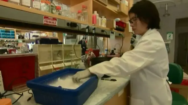 Исследователь