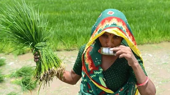 ખેડૂત આંદોલન