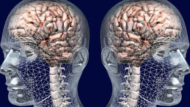 Я и мой новый мозг