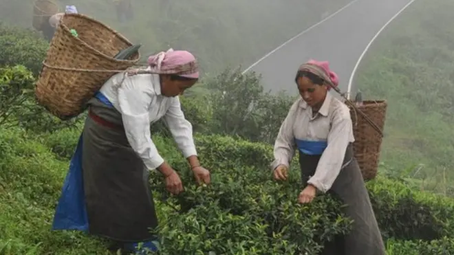 दार्जिलिंग