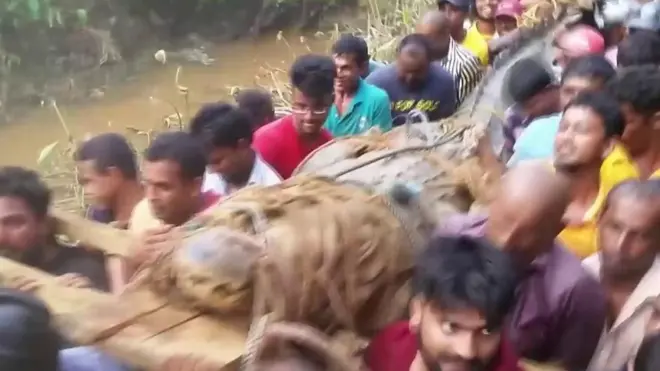 ชาวบ้านช่วยกันแบกจระเข้