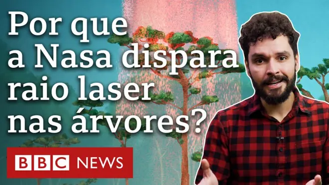 Árvore é atingida por raios vermelhos