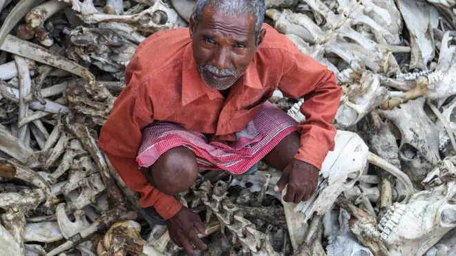 Bridžvasi Lal sakuplja kosti sa leševa životinja kako bi preživeo